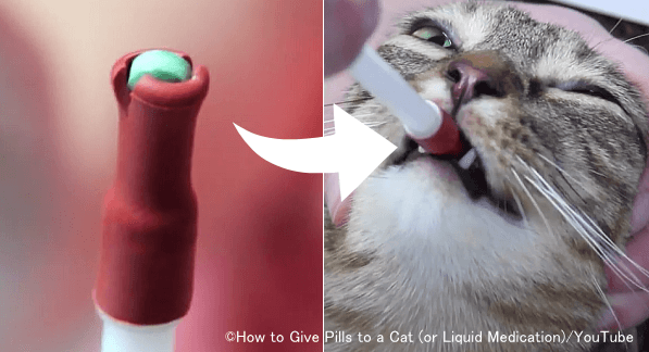 錠剤を猫の口の奥に落とすときに用いられるピルガン（ピルポッパー）