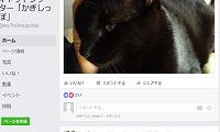 猫カフェ&キャットシッター・かぎしっぽ・Facebook