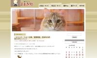 猫カフェまねき猫ブログ