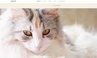 猫カフェmof.mof・ホームページ
