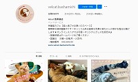 保護猫VELCAT馬車道店・Instagram