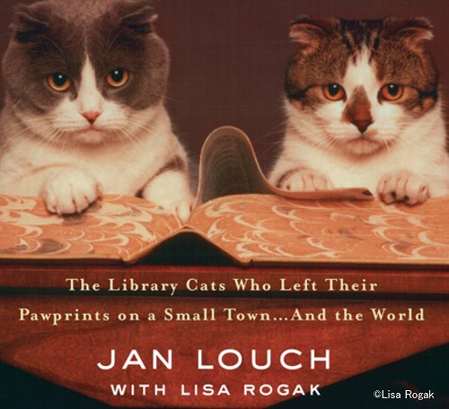 書籍「The True Tails of Baker and Taylor: The Library Cats Who Left Their Pawprints on a Small Town and the World」のカバー写真