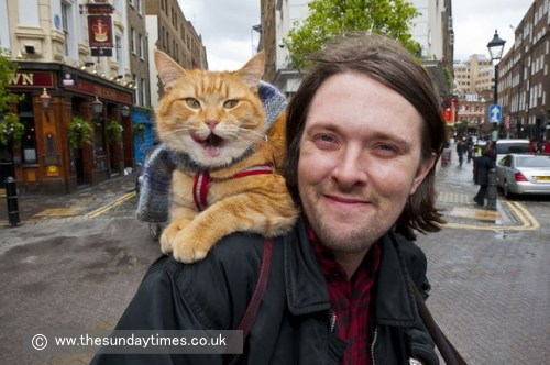 大道芸人ジェームズ・ボーウェンの肩に乗る猫のボブ