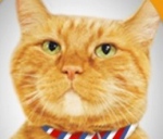 2012年度のアメリカ大統領選に公式に出馬した猫のモリス