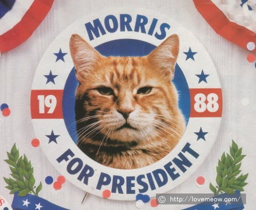 1988年、「初代モリス」が大統領選に立候補したときの選挙ポスター