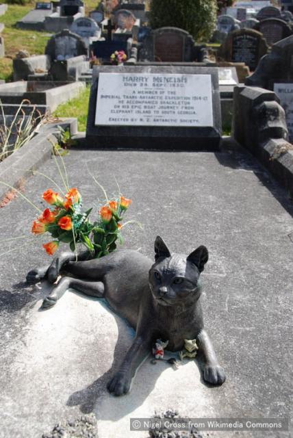 ニュージーランドにあるマクニッシュの墓と、その前に立てられたミセスチッピーの銅像