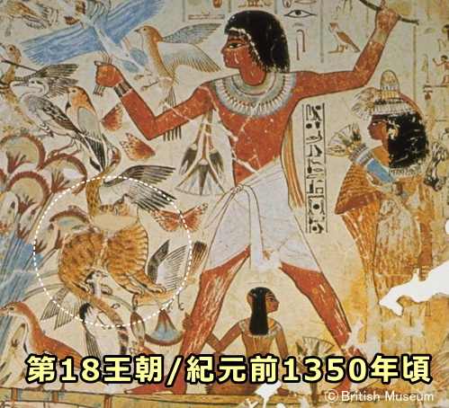 エジプトにおける家畜化初期の猫は、まだ神聖視はされておらず、人間の狩猟の手伝いをする使役動物として扱われていました