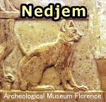 史上初めて登場した猫の名前「Nedjem」