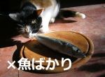 猫に青魚ばかり与えていると、イエローファットという病気になるので注意