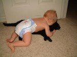 猫と人間の赤ちゃんとの相性