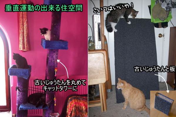 垂直運動のできる住空間・その2