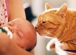 猫と赤ん坊との仲睦まじい光景がいわれのない俗信を生んだ