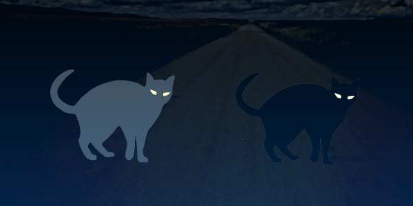 闇夜における白猫と黒猫の視認性比較