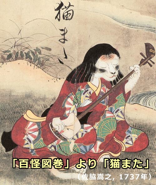 「百怪図巻」（佐脇嵩之, 1737年）より「猫また」

