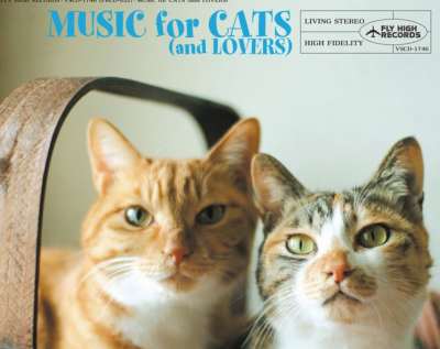 猫をテーマにした曲ばかりを収めたコンピレーションCD「猫と音楽の蜜月」