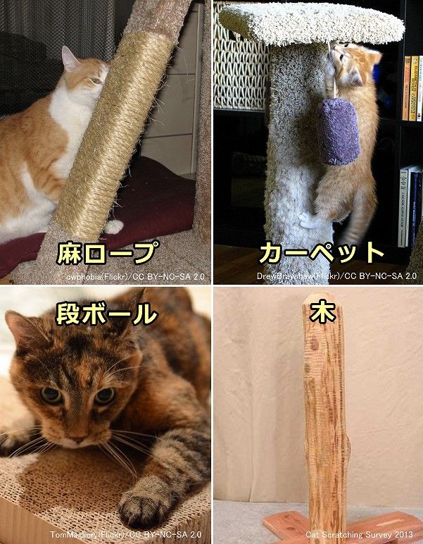 猫の爪とぎ用具に用いられる素材一覧～ロープ・カーペット・段ボール・木
