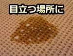 反応性スプレーは、よく活動する場所や目立つ場所にされることが多い