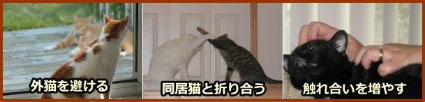 ストレスに反応した頻度が高まる反応性スプレーは、環境操作によって対処する