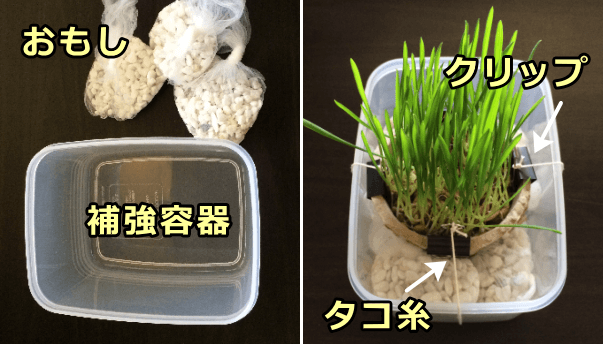猫草容器を固定するための補強~タコ糸などで重量のある別容器に結びつける
