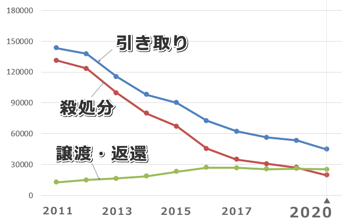最新21年版 猫の殺処分の現状 原因や理由を知り処分数ゼロのためにできることを考える 子猫のへや