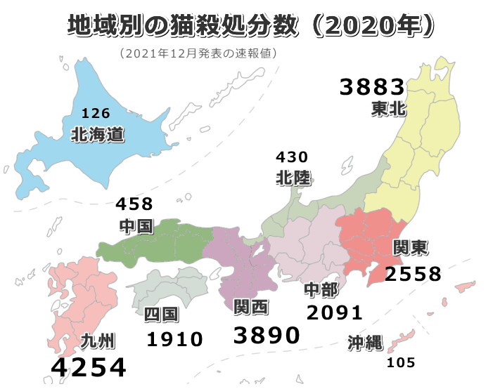 最新21年版 猫の殺処分の現状 原因や理由を知り処分数ゼロのためにできることを考える 子猫のへや