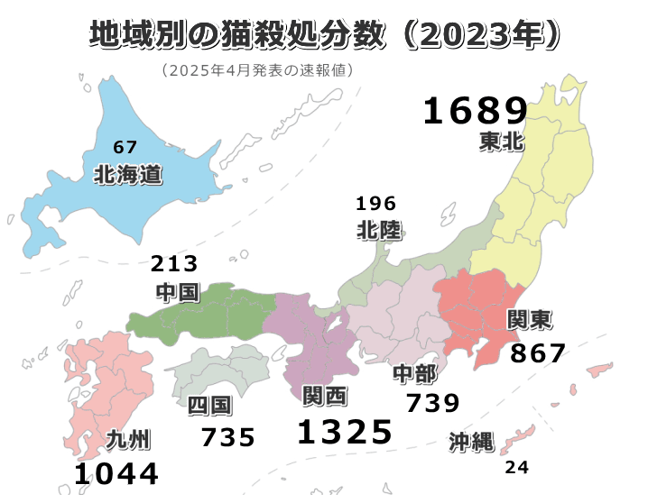 2023年度における地域別の猫殺処分数一覧インフォグラフ