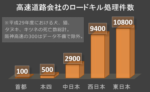 高速道路運営会社によって回収された小動物の死骸回収数(平成29年度)