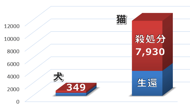 平成29年度における負傷動物として収容・殺処分された犬と猫の棒グラフ