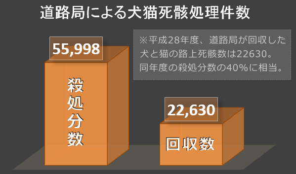 道路局よって回収された国道上の犬猫死骸数(平成28年度)