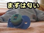 猫を赤ちゃんい慣れさせるにはまず匂いから