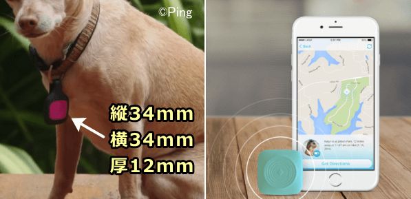 GPSによる迷子猫探し商品「Ping」