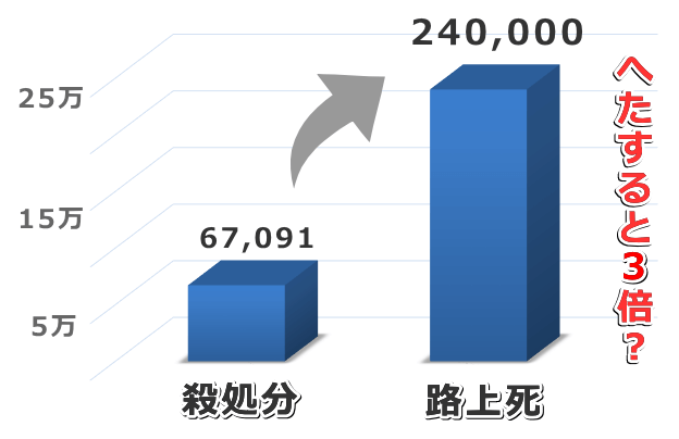 日本国内で人知れず路上死している猫の数は、殺処分数の3倍に達する可能性あり