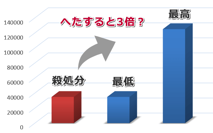 日本国内で人知れず路上死している猫の数は、殺処分数の3倍に達する可能性あり