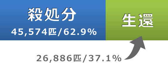 殺処分数と譲渡・返還数の割合を示す棒グラフ