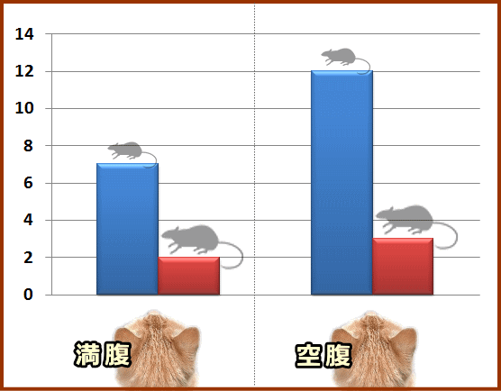 猫はおなかが空いていたほうが遊び行動に走りやすい