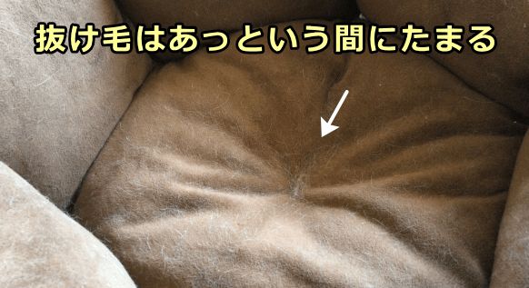 猫のベッドにたまった抜け毛