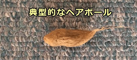 猫は飲み込んだ抜け毛をヘアボールとして吐き出す