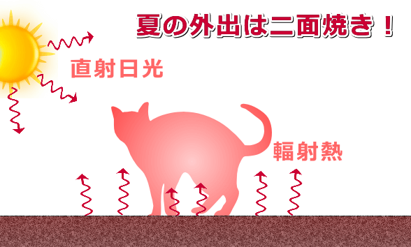 暑い日の外出は太陽の直射日光と地面からの輻射熱で二面焼き状態