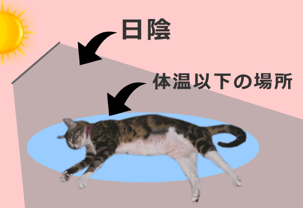 猫の熱中症応急処置～まずは日陰につれていき体温よりも低い場所に横たわらせる