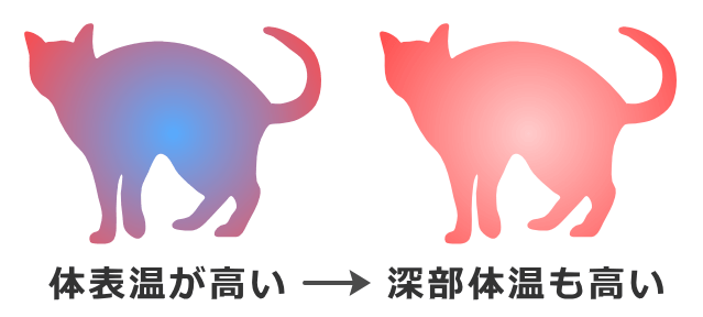 発熱メカニズムがうまく機能せず、体表温も深部体温も高くなった状態が熱中症