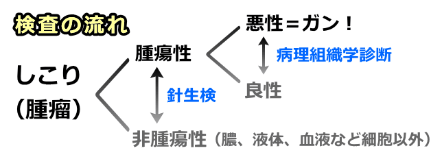 しこりの検査は、針生検から病理組織学診断という流れで進行する