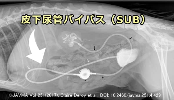 皮下尿管バイパス（SUB）の側面エックス線画像