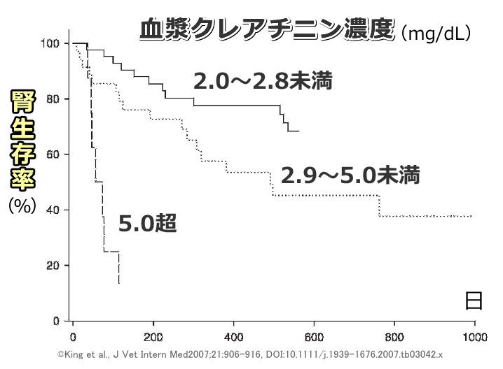 血漿クレアチニン濃度と慢性腎不全猫の腎生存率