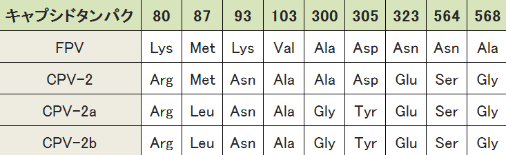 パルボウイルスのキャプシドタンパク（VP2）に含まれるアミノ酸配列比較表