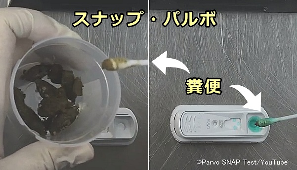 スナップパルボの使用手順解説