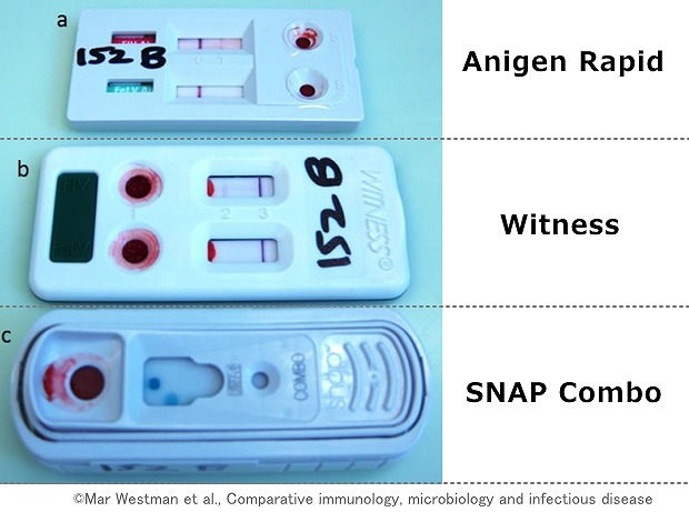 動物病院で使用される猫免疫不全ウイルス（FIV）用院内テストキット一覧