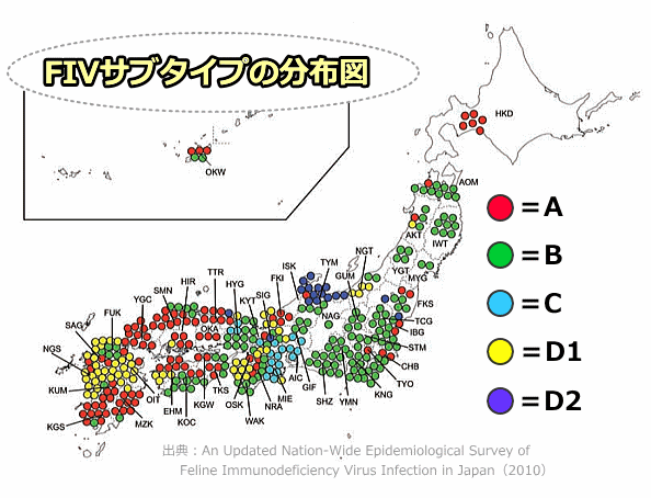 日本におけるFIVサブタイプの分布図