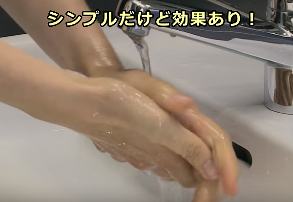 手のすすぎ洗いはシンプルだけれどもカリシウイルスの物理的な除去には有効！