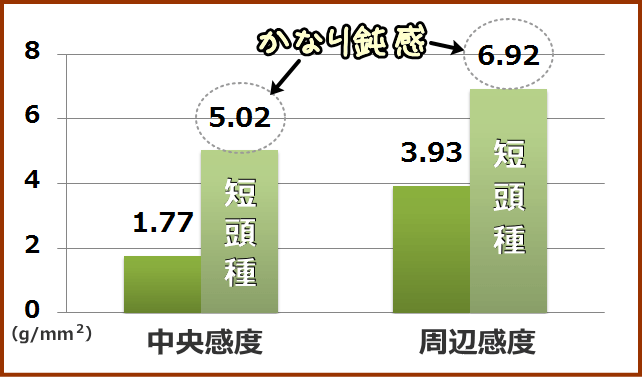 通常の猫と短頭猫の角膜感度を比較したグラフ（g／平方ミリ）