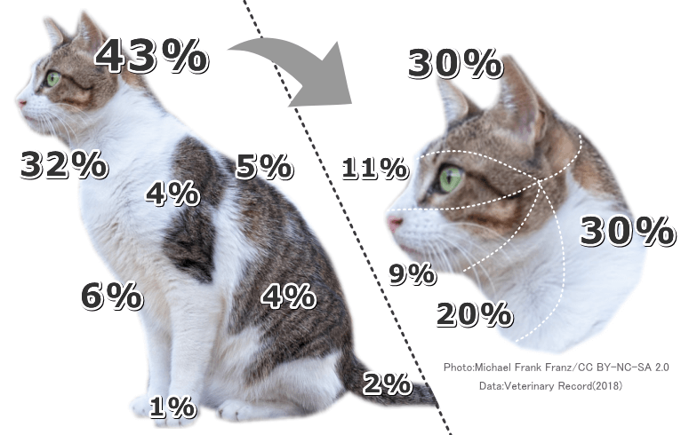 猫の体の部位別に見たダニに食われやすい場所一覧